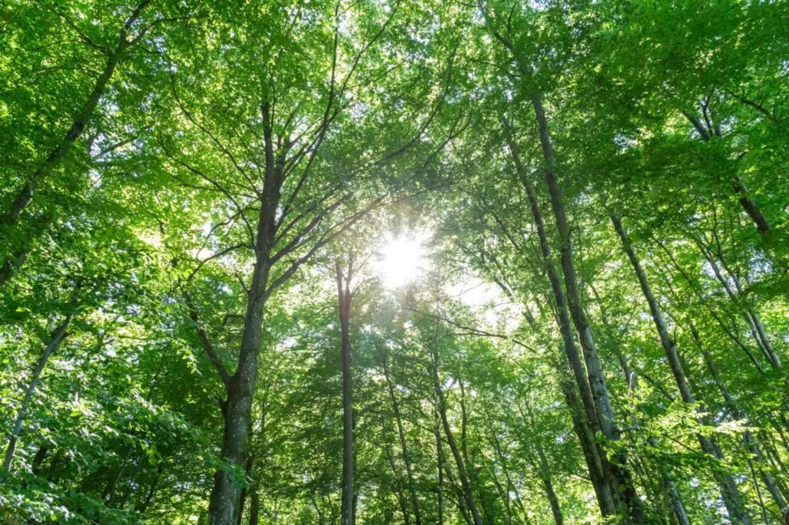 Camping Nommerlayen 2-Gebieden zomer 20km