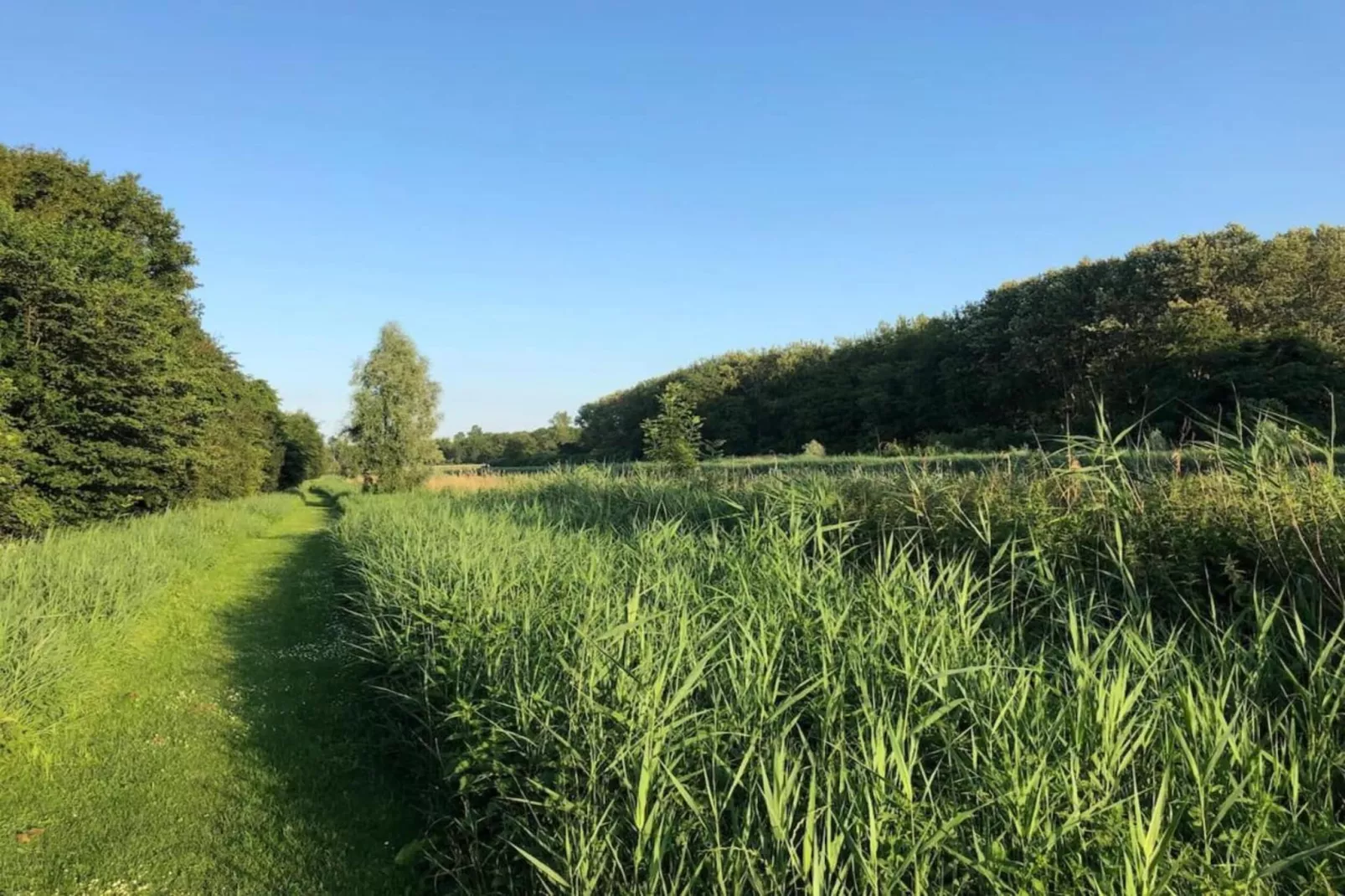Resort de Parel 15-Gebieden zomer 20km