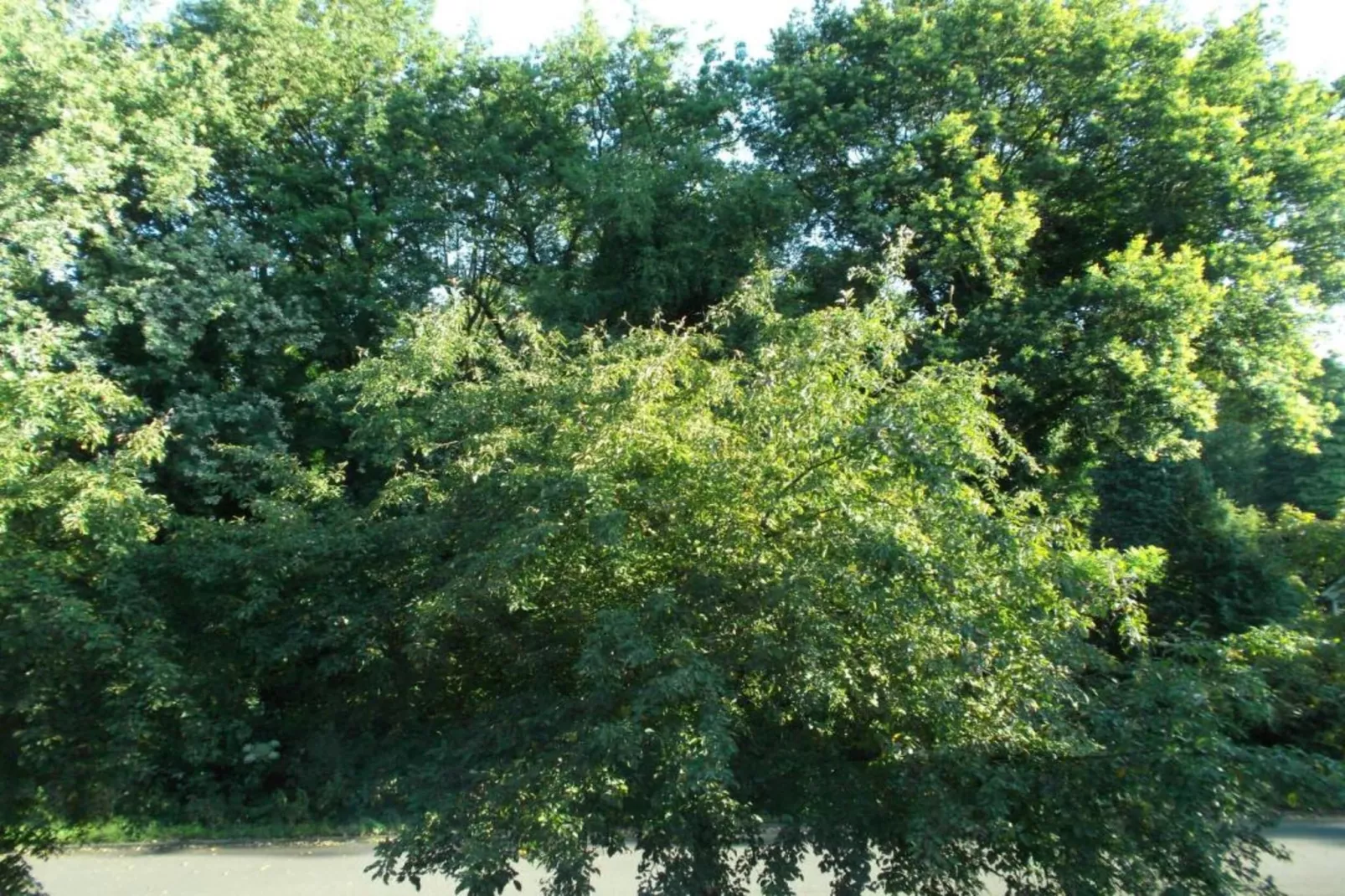 Vakantiepark Latour 8-Gebieden zomer 20km