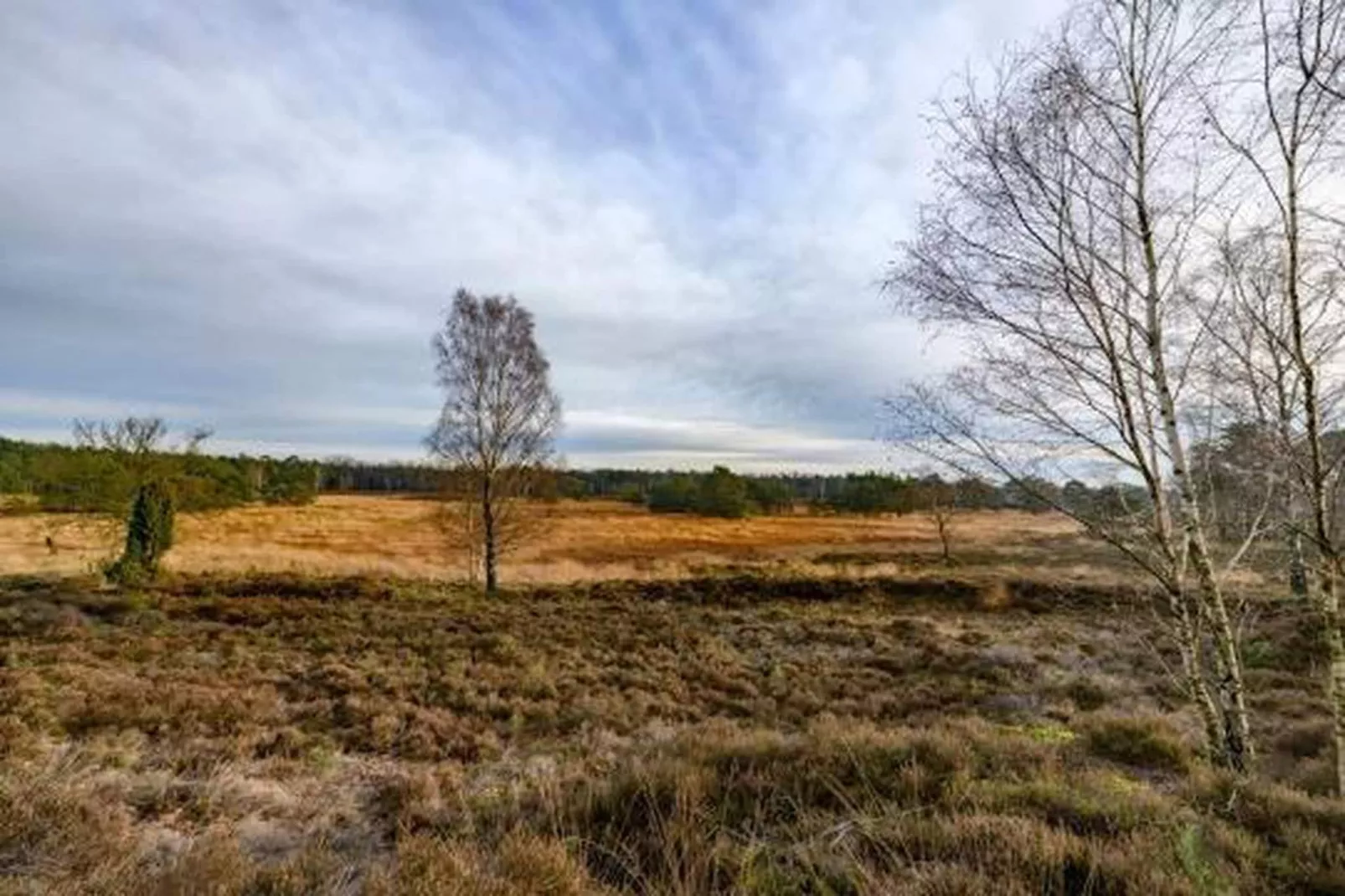 Bospark de Schaapskooi 10-Gebieden zomer 20km