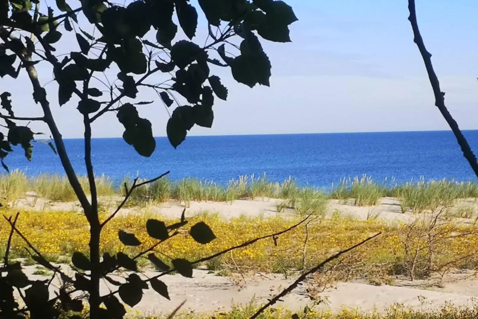 Nr4 Müritzsee 3 Personen-Gebieden zomer 5km
