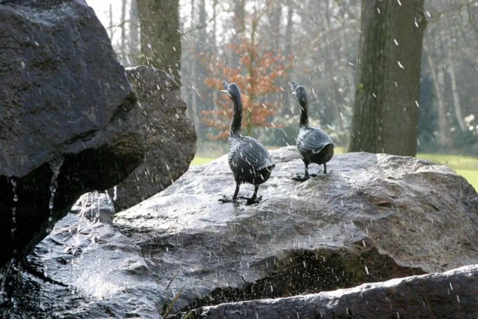 Ferienresort Bad Bentheim 31-Gebieden zomer 20km