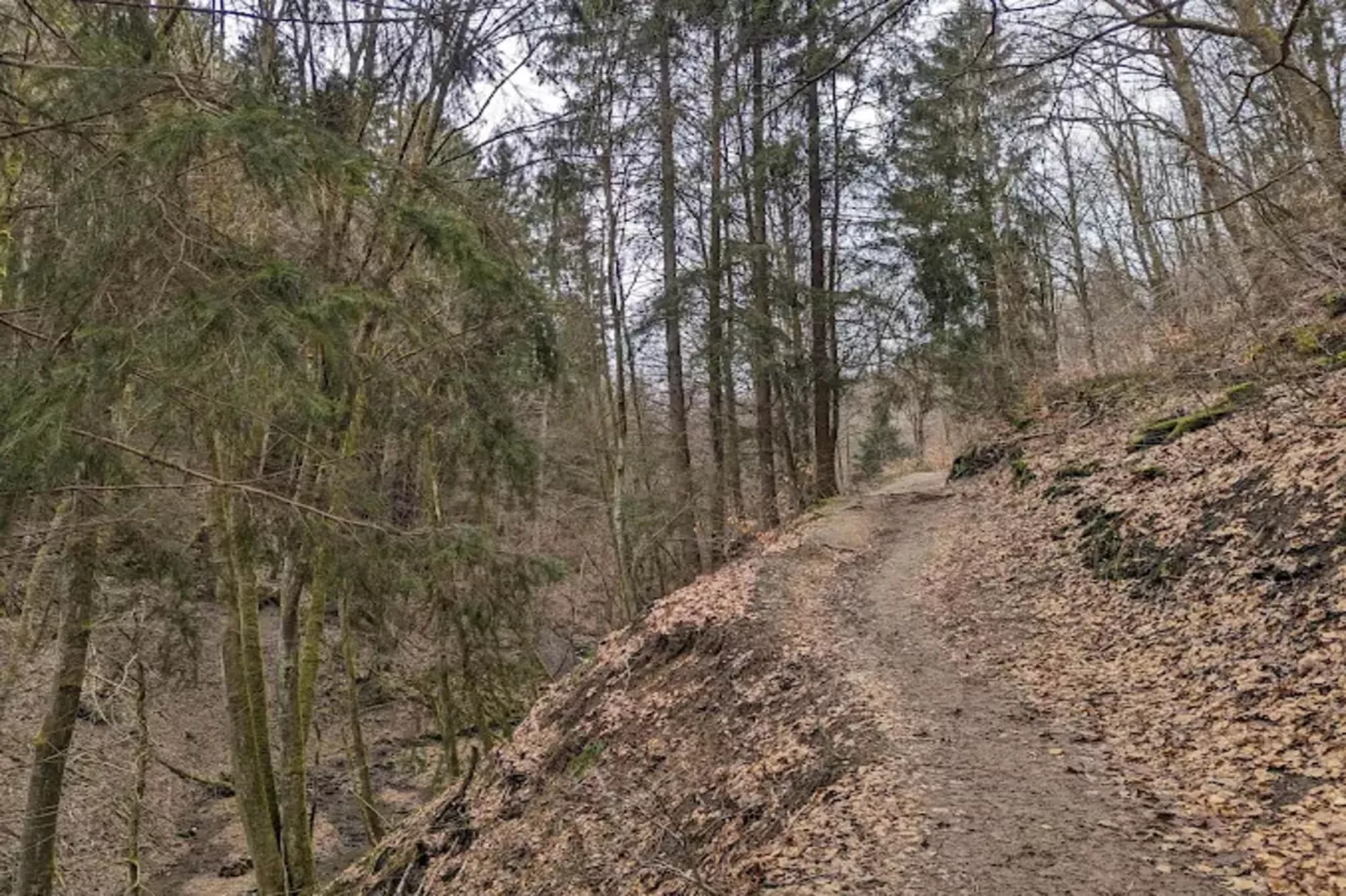 Auszeit Winterberg-Gebieden zomer 5km