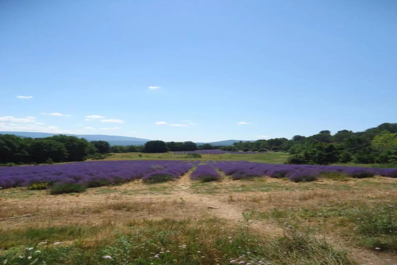 Villa GUIOL-Gebieden zomer 20km
