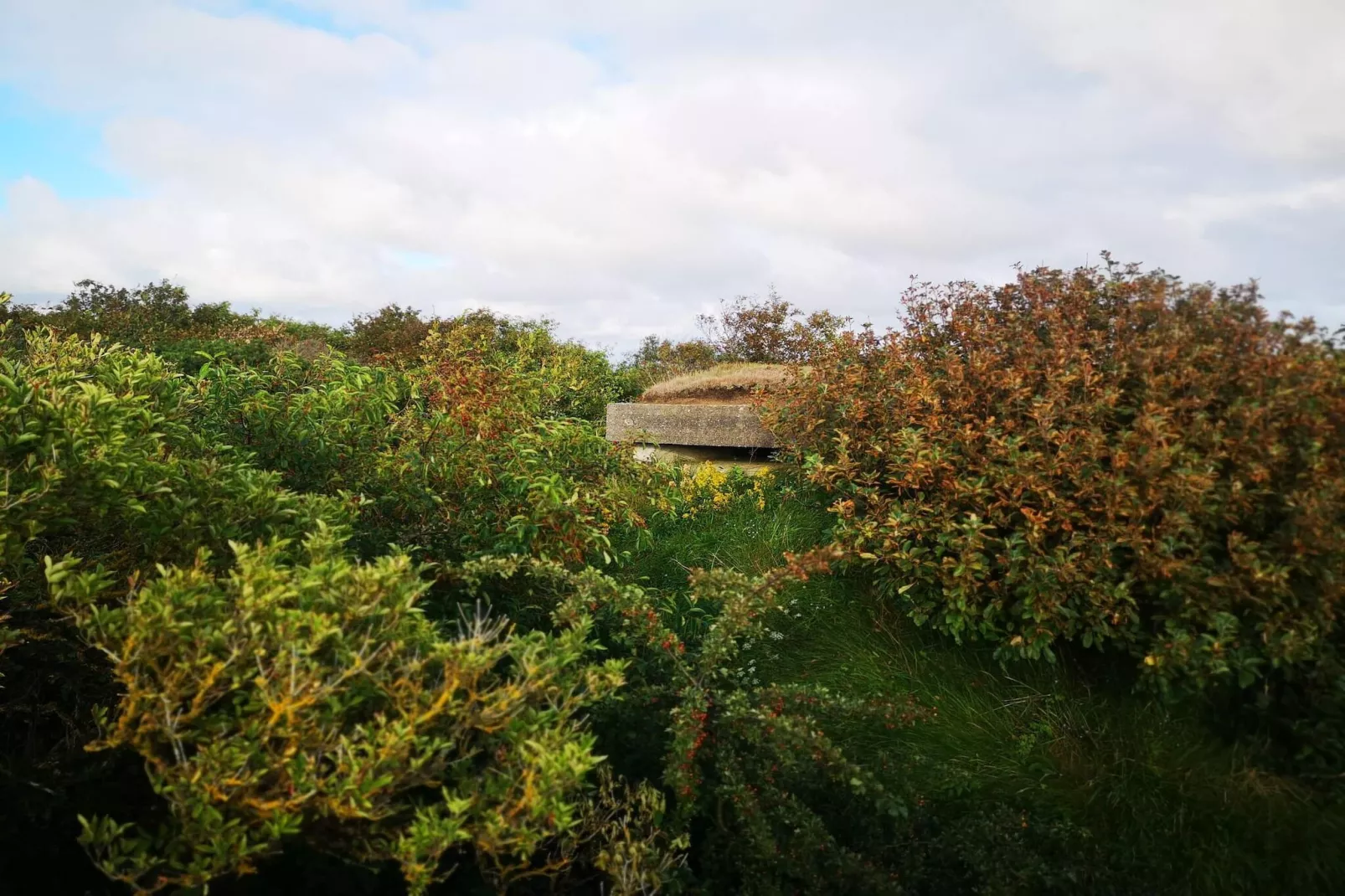 6 persoons vakantie huis in Skjern-By Traum