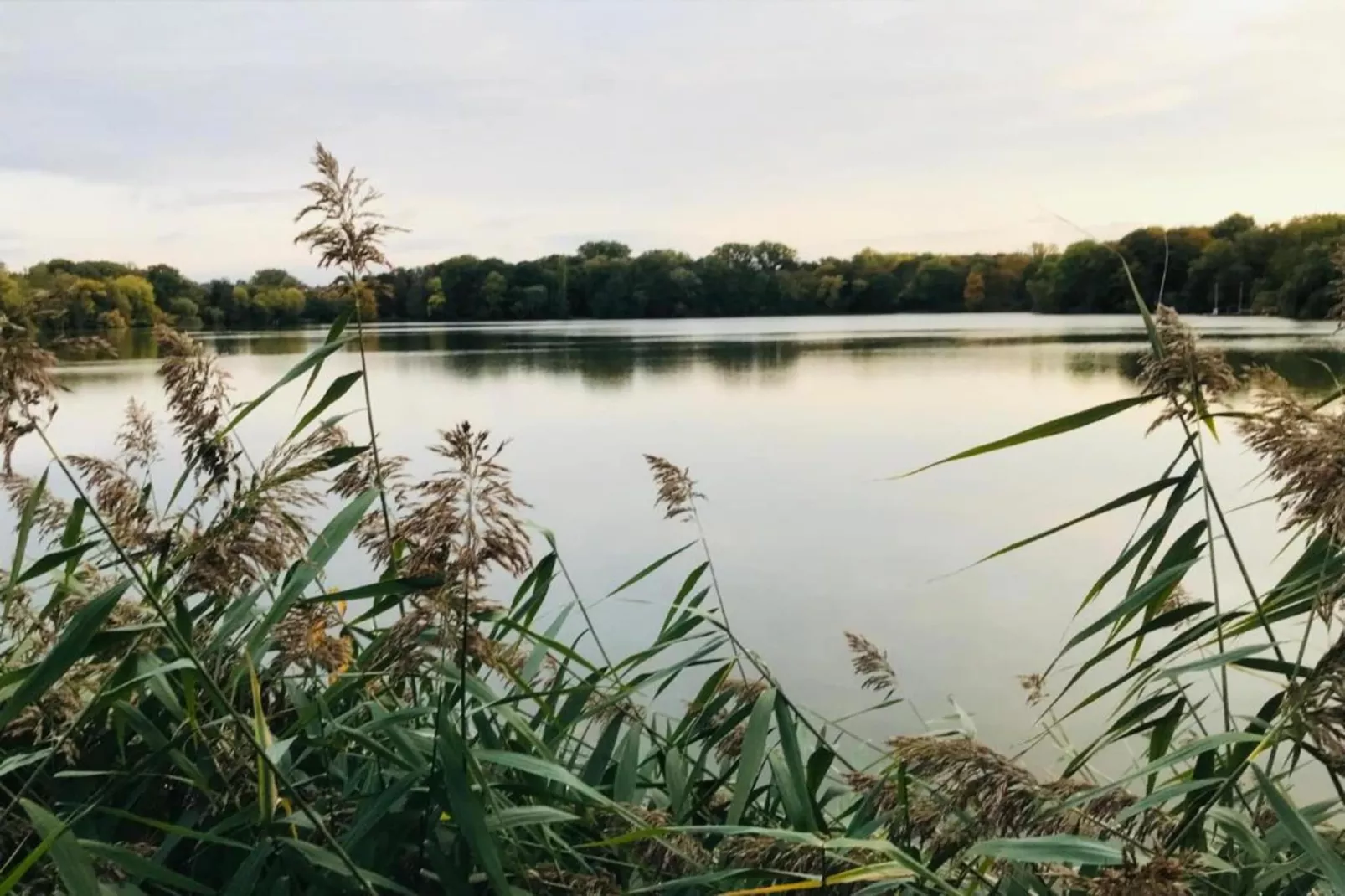Hanoi Haus-Gebieden zomer 20km