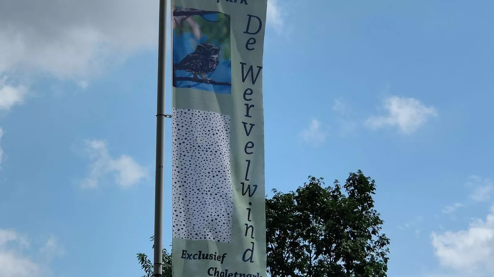 Torenvalk-Gebieden zomer 1km