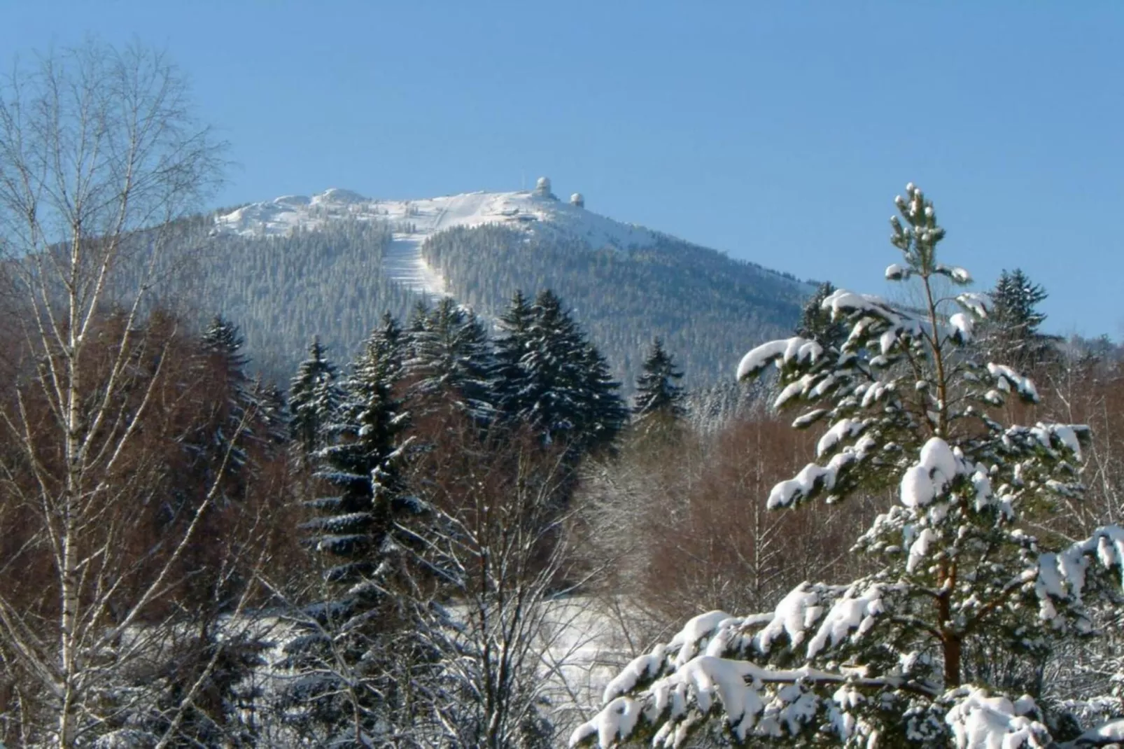 Schönes Holzhaus Arberblick-Gebied winter 20km