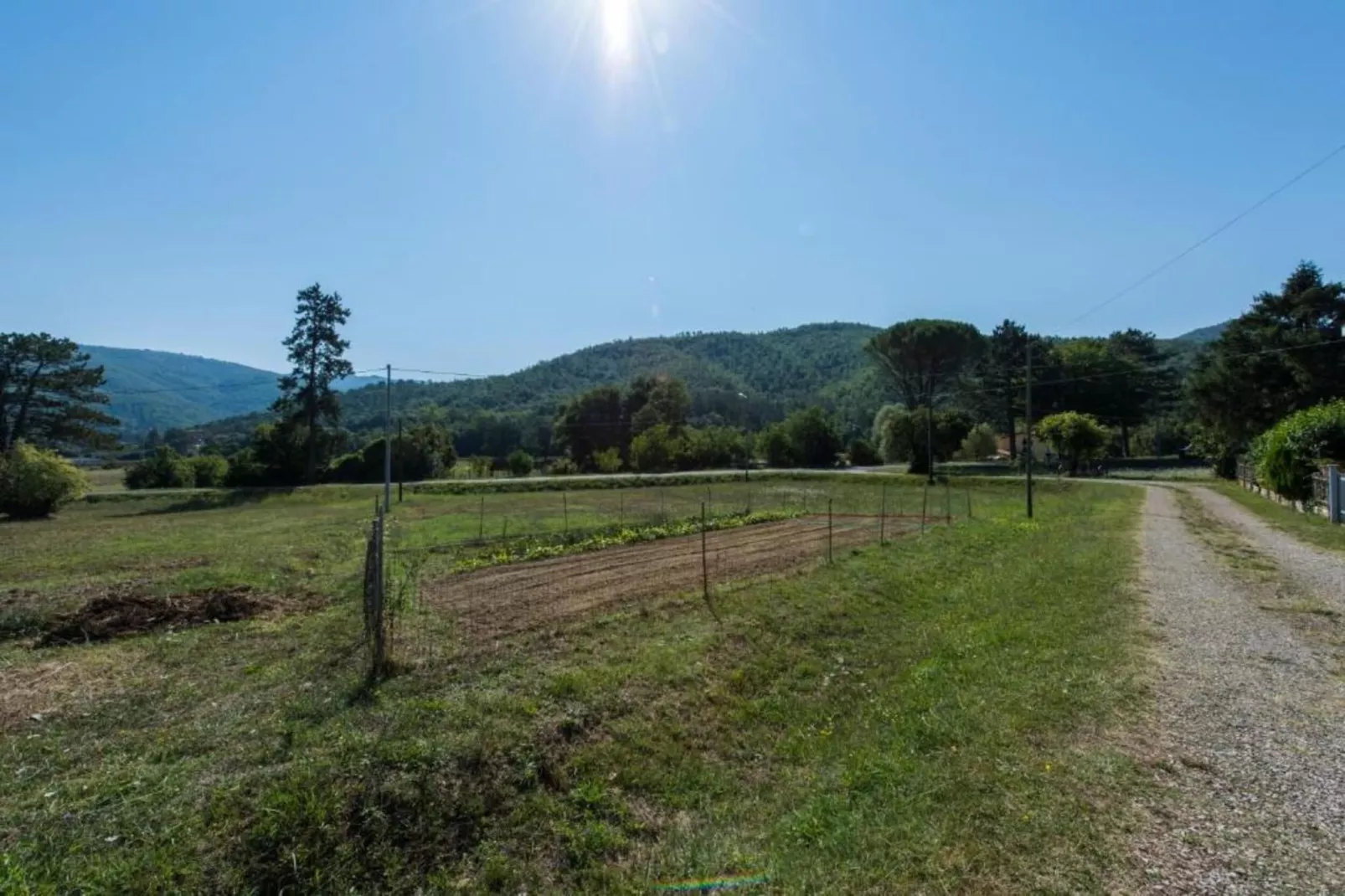 Pino-Gebieden zomer 20km