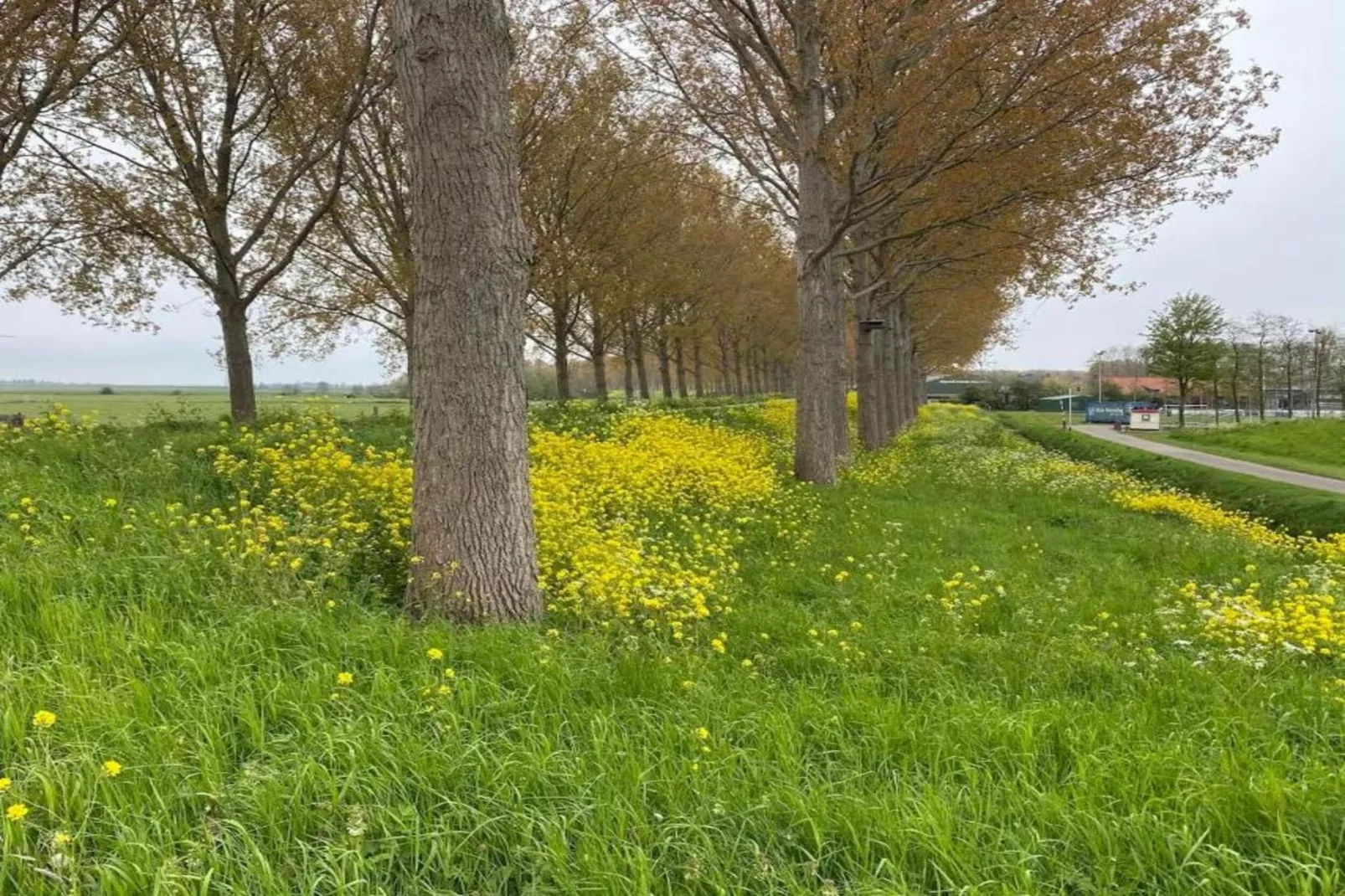 Standaard 224 - Gebieden zomer 20km