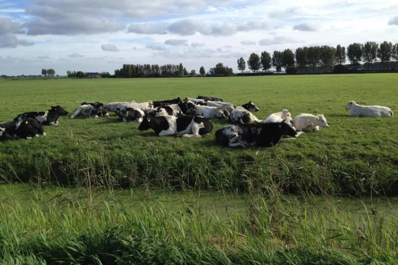 Standaard 219-Gebieden zomer 20km