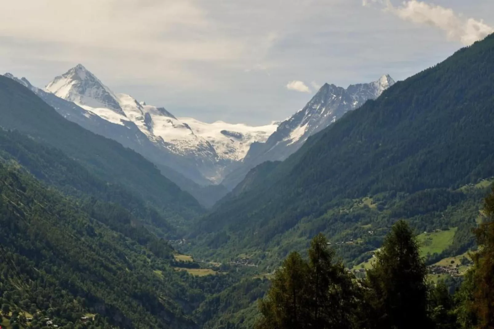 Mayens de l'Ours CZ 031 - MOUNTAIN apartment 6 per-Gebieden zomer 5km