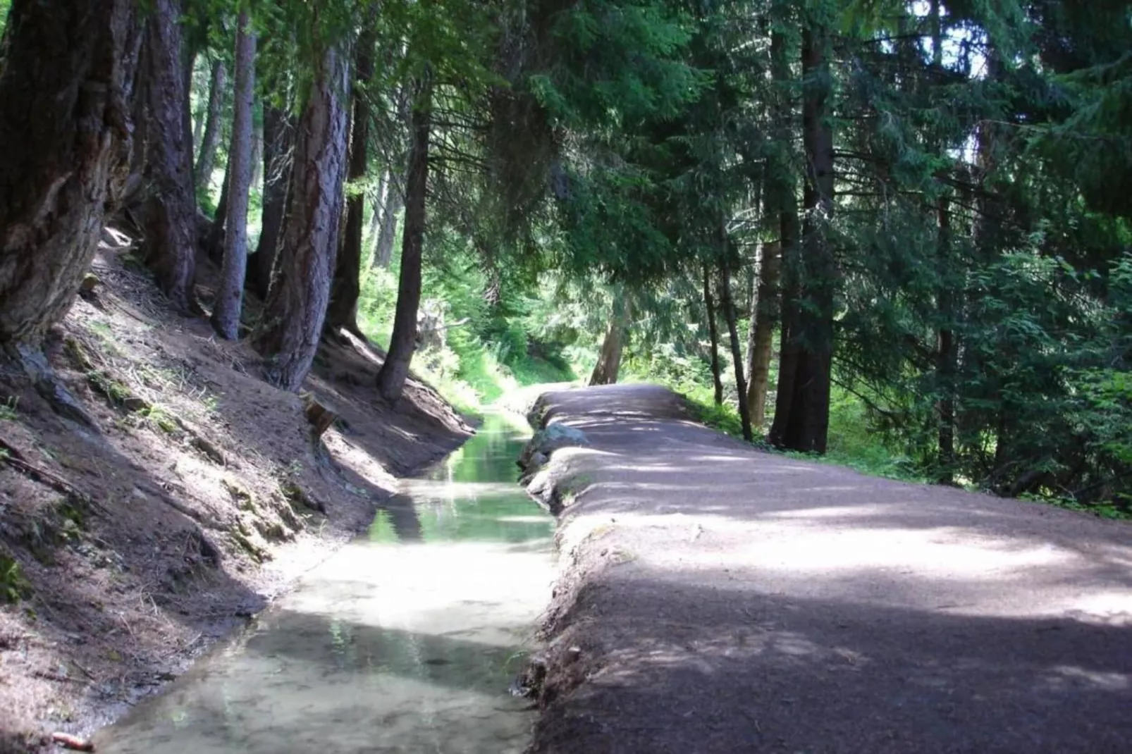 Fontanettaz V 014 - MOUNTAIN apartment 4 pers-Gebieden zomer 20km