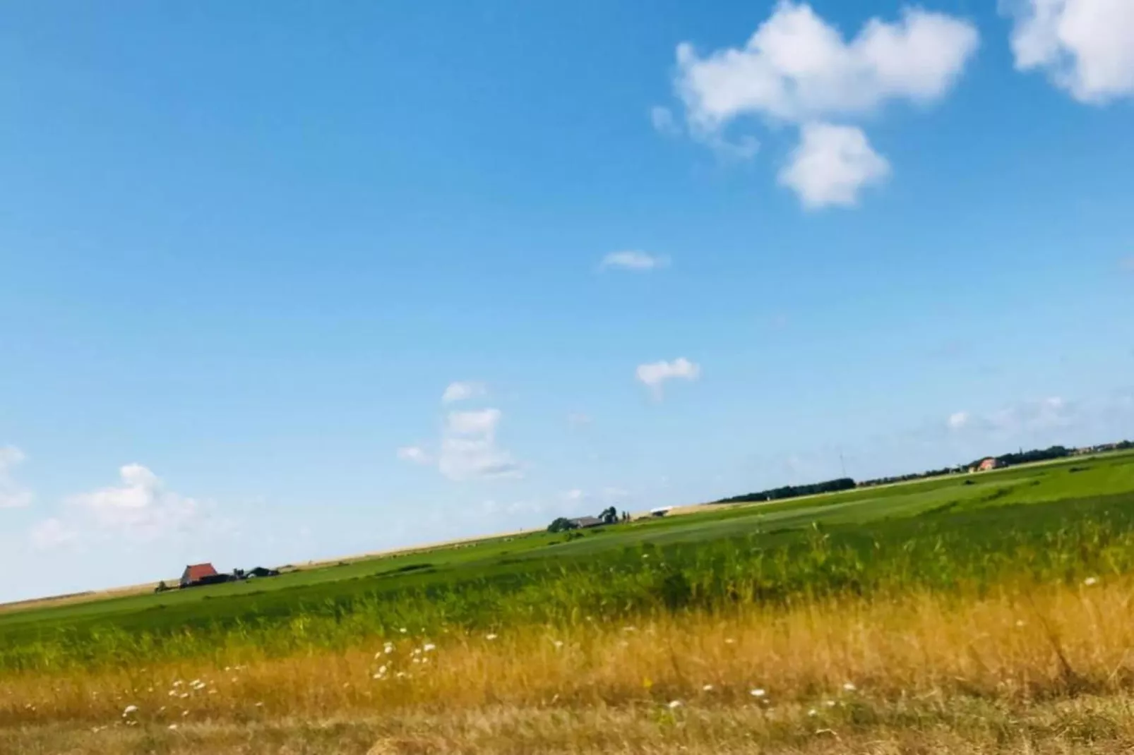 VT 145-Gebieden zomer 20km