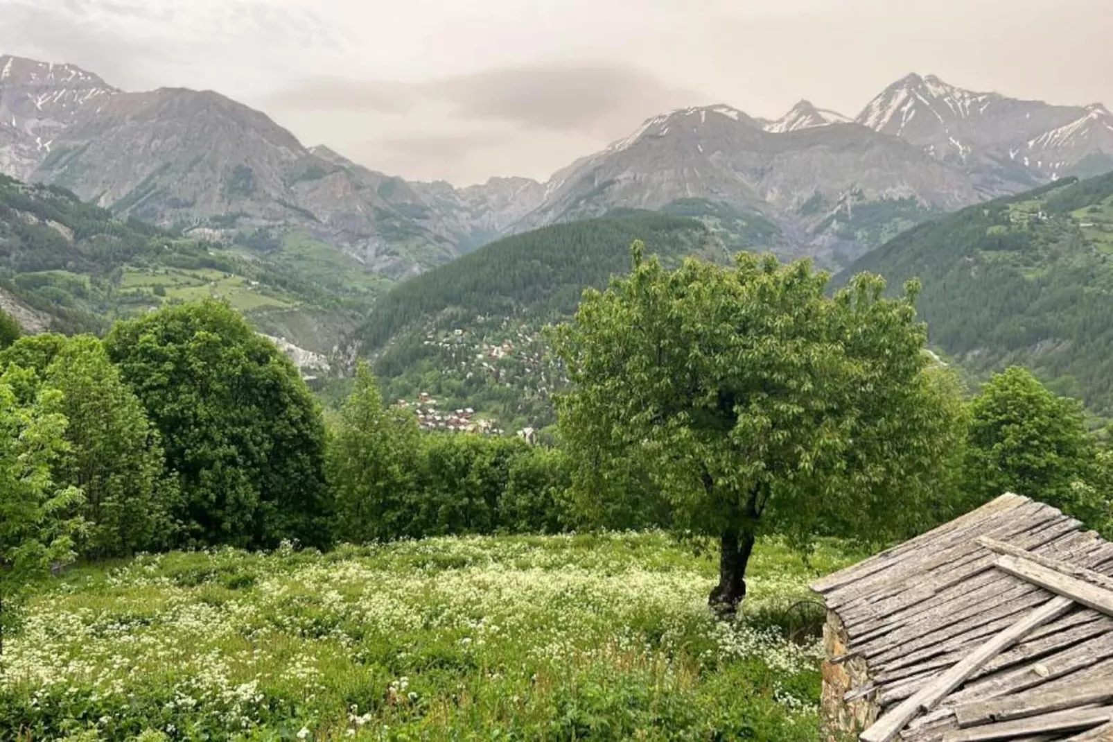 Central Park N°316 - 3P6-Gebieden zomer 20km