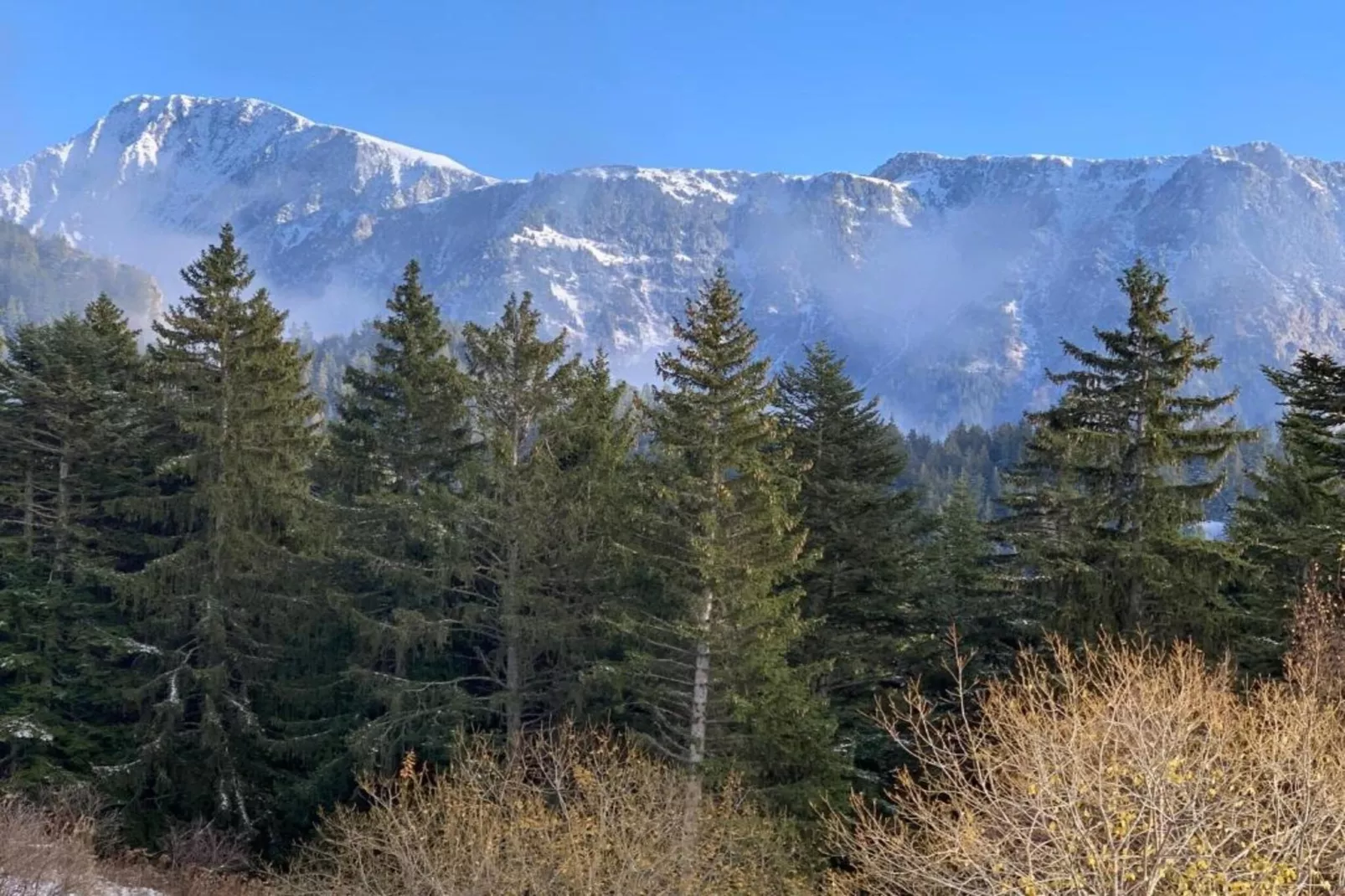 V. du Bachat EPICEA B N°01 - 3P6-Gebieden zomer 5km