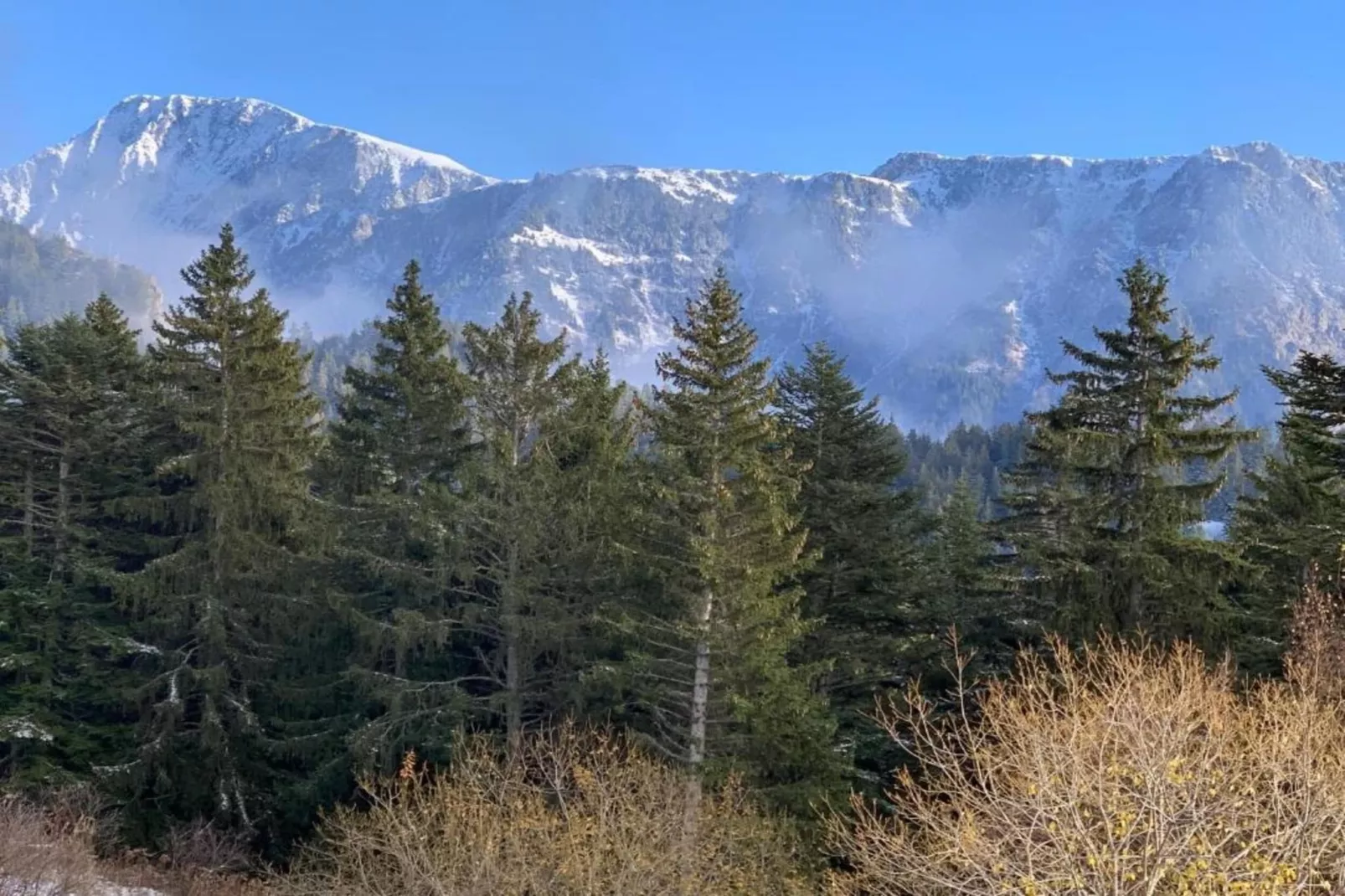 V. du Bachat ASTERS A N°04  - ST4-Gebieden zomer 5km