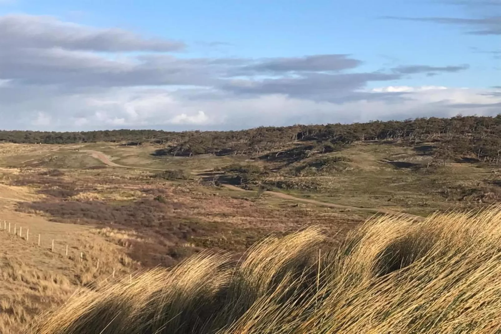 Bohemien 38-Gebieden zomer 5km