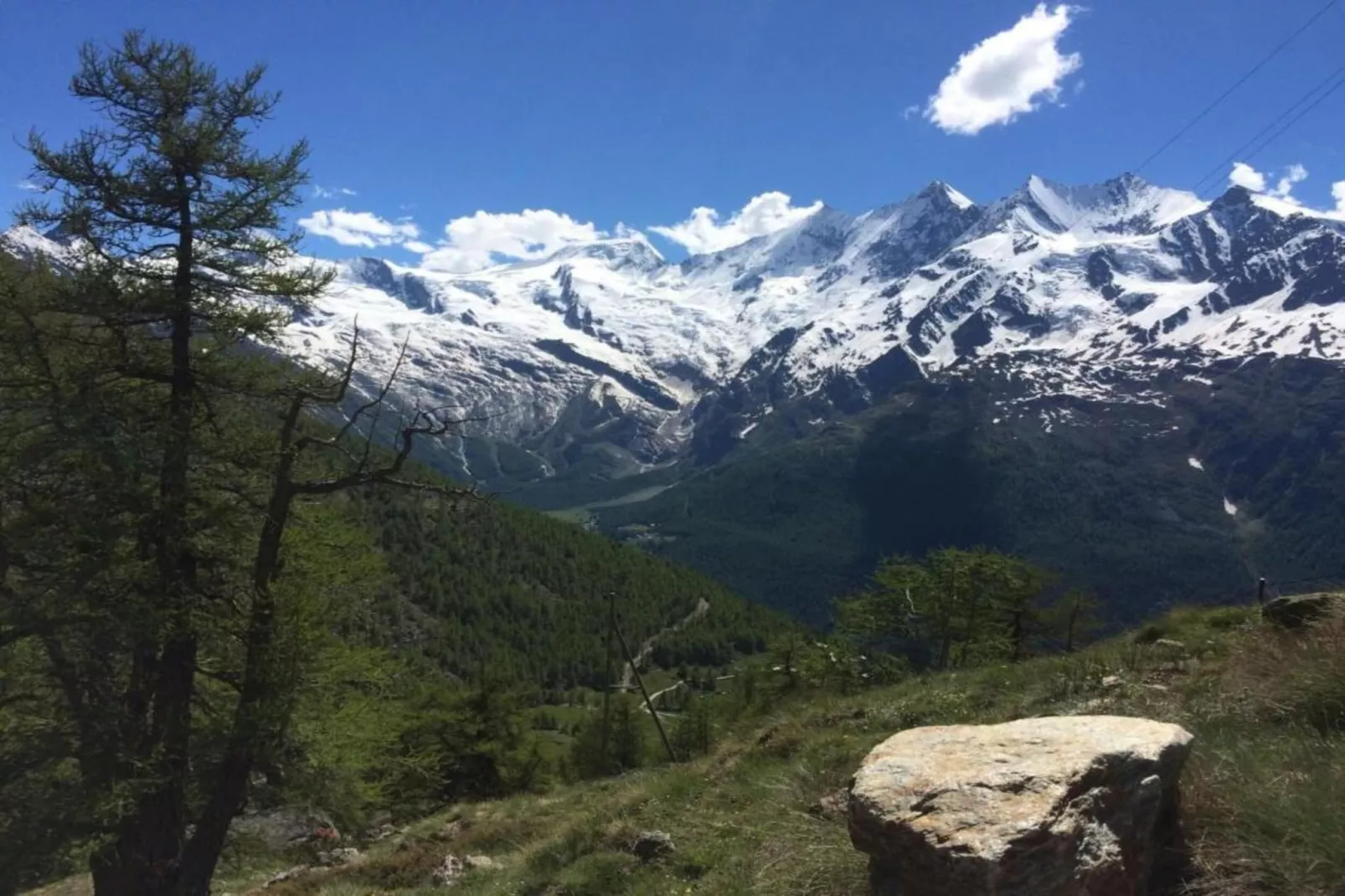 Haus Alpenstern Wohnung Distel-Gebieden zomer 20km