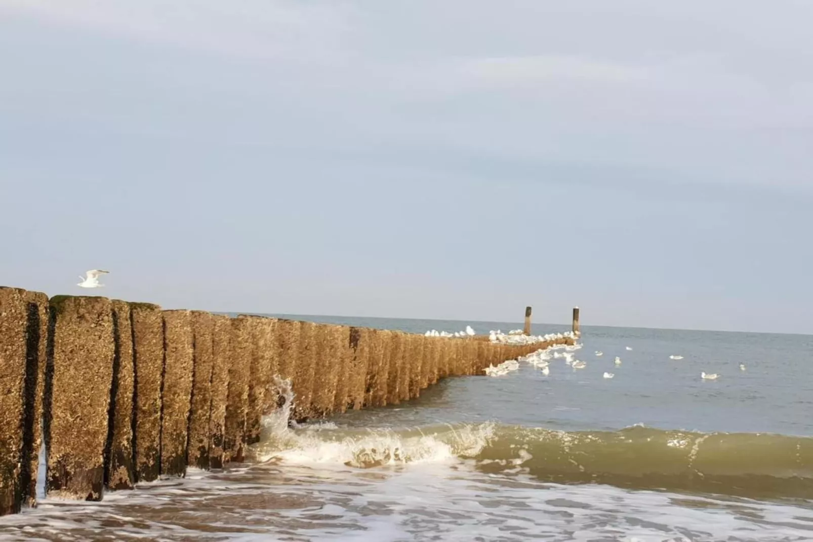 Vakantiehuis voor 6 personen  Hoge Weide 63 Oostkapelle  Dicht bij strand-Gebieden zomer 20km
