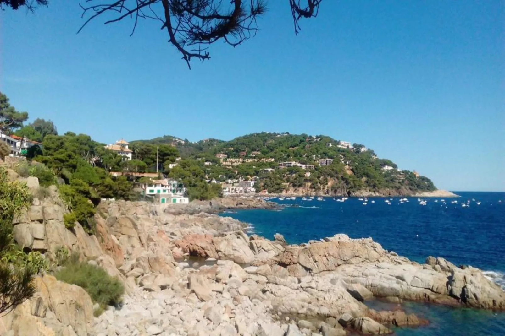 Martinez-Gebieden zomer 20km