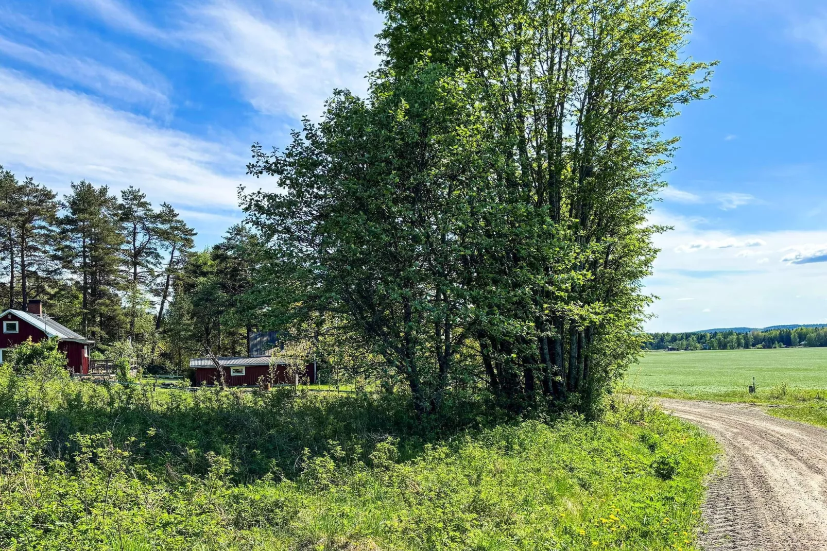Natuurvakantie bij het Frykenmeer-Buitenlucht
