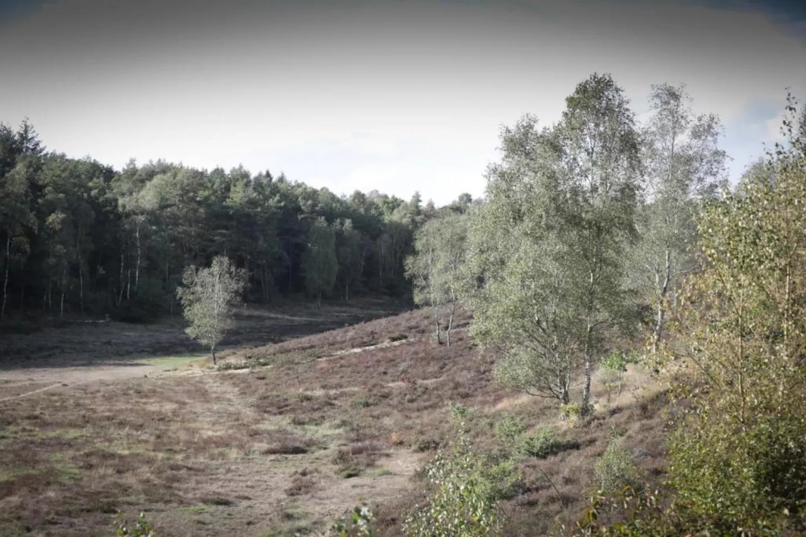Vlindervallei Villa 8p-Gebieden zomer 5km