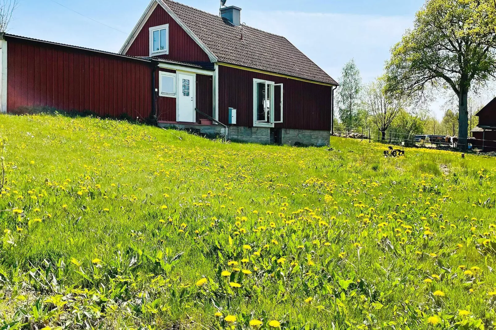 6 persoons vakantie huis in TINGSRYD-Buitenlucht