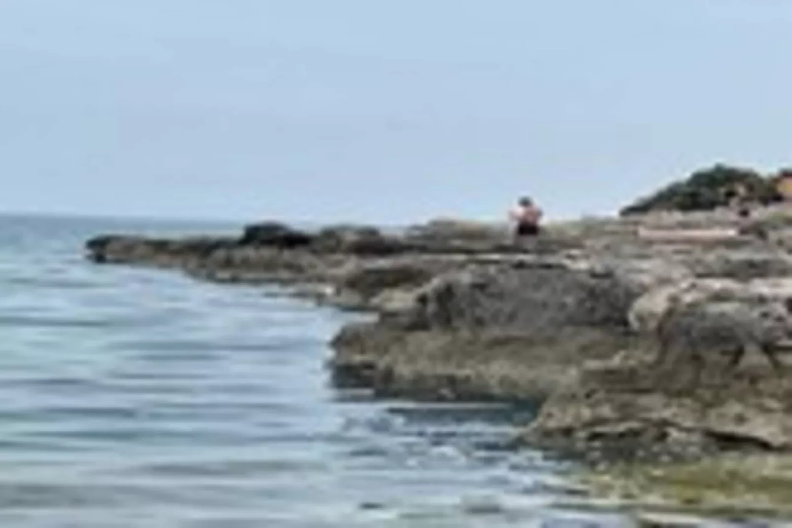 Barbariga Beach Paradise 1-Gebieden zomer 5km