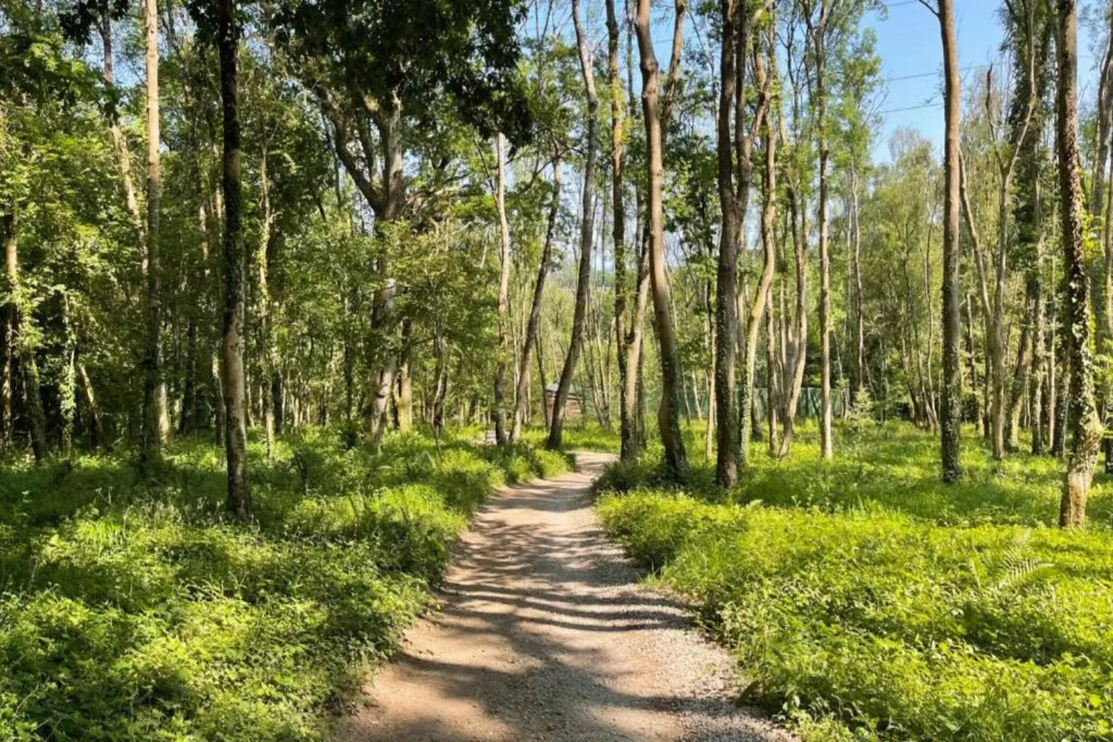 Little Dunley - Apple Lodge-Gebieden zomer 5km