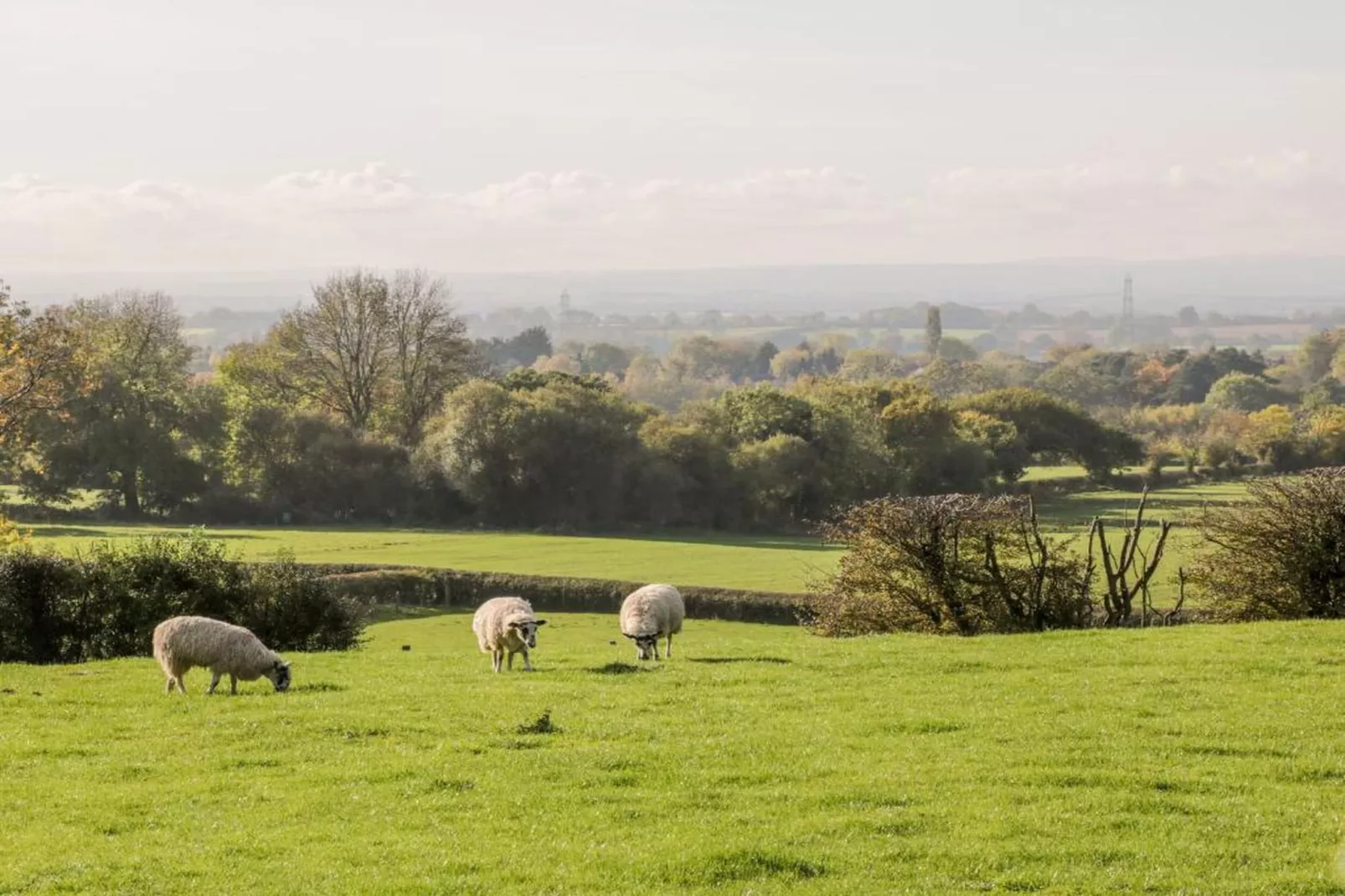Cleveland Hall Apt-Gebieden zomer 20km