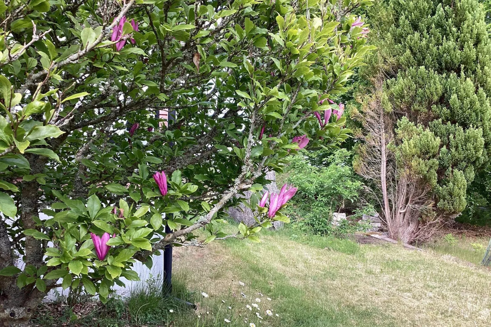 6 persoons vakantie huis in UDDEVALLA-By Traum-Buitenlucht