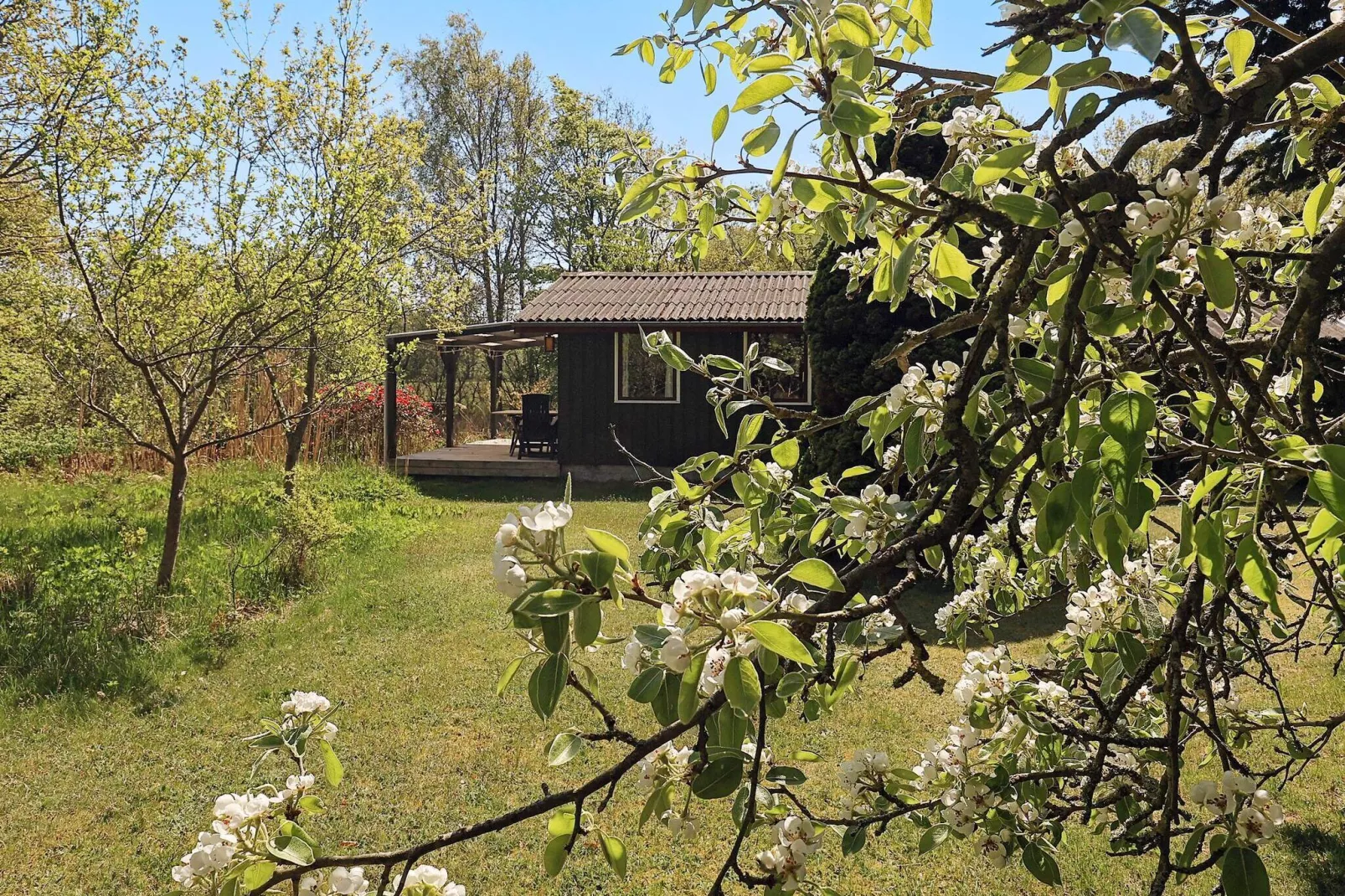6 persoons vakantie huis in Læsø-By Traum-Buitenlucht