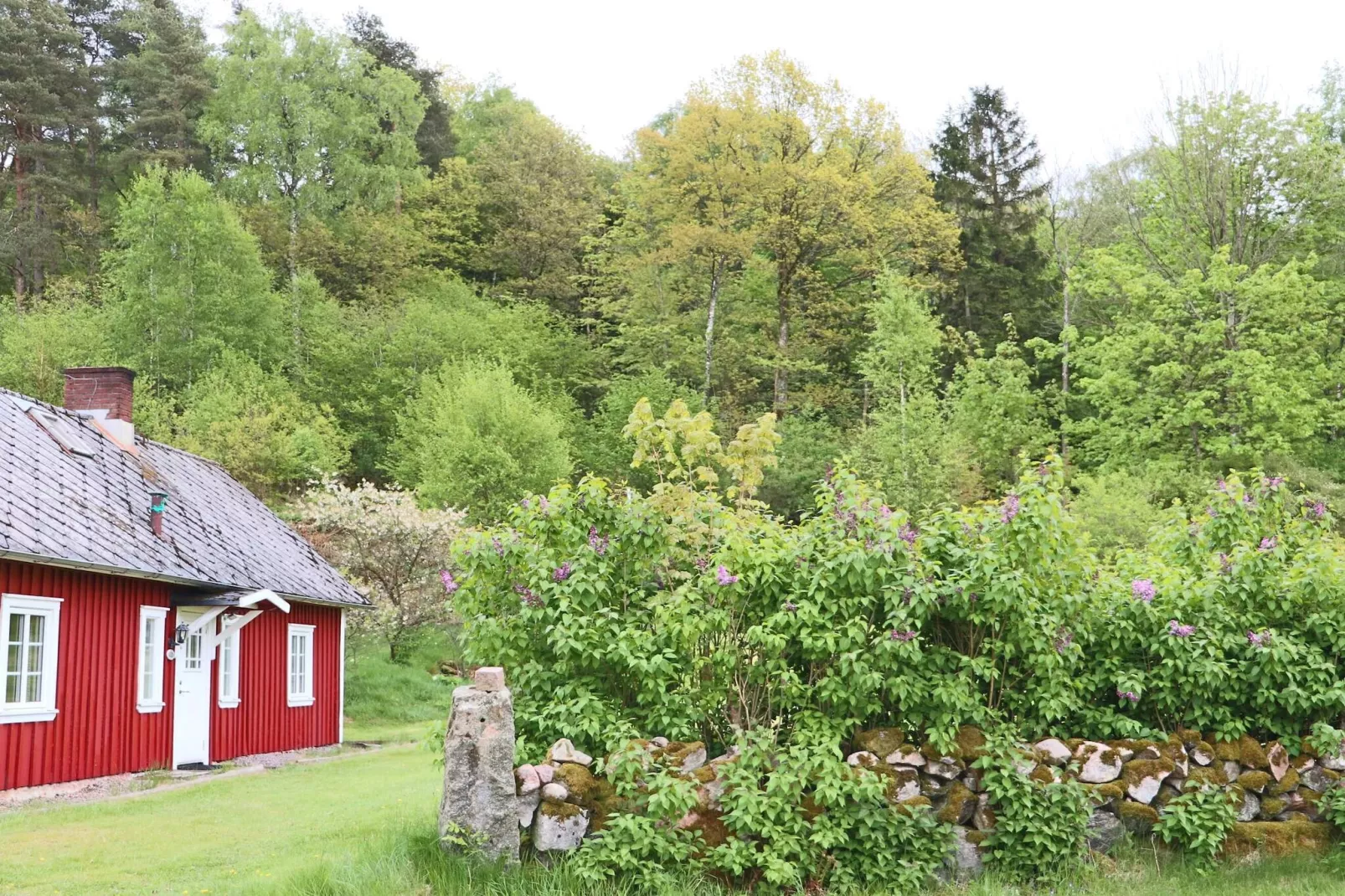 6 Personen vakantie huis in VESSIGEBRO-Buitenlucht