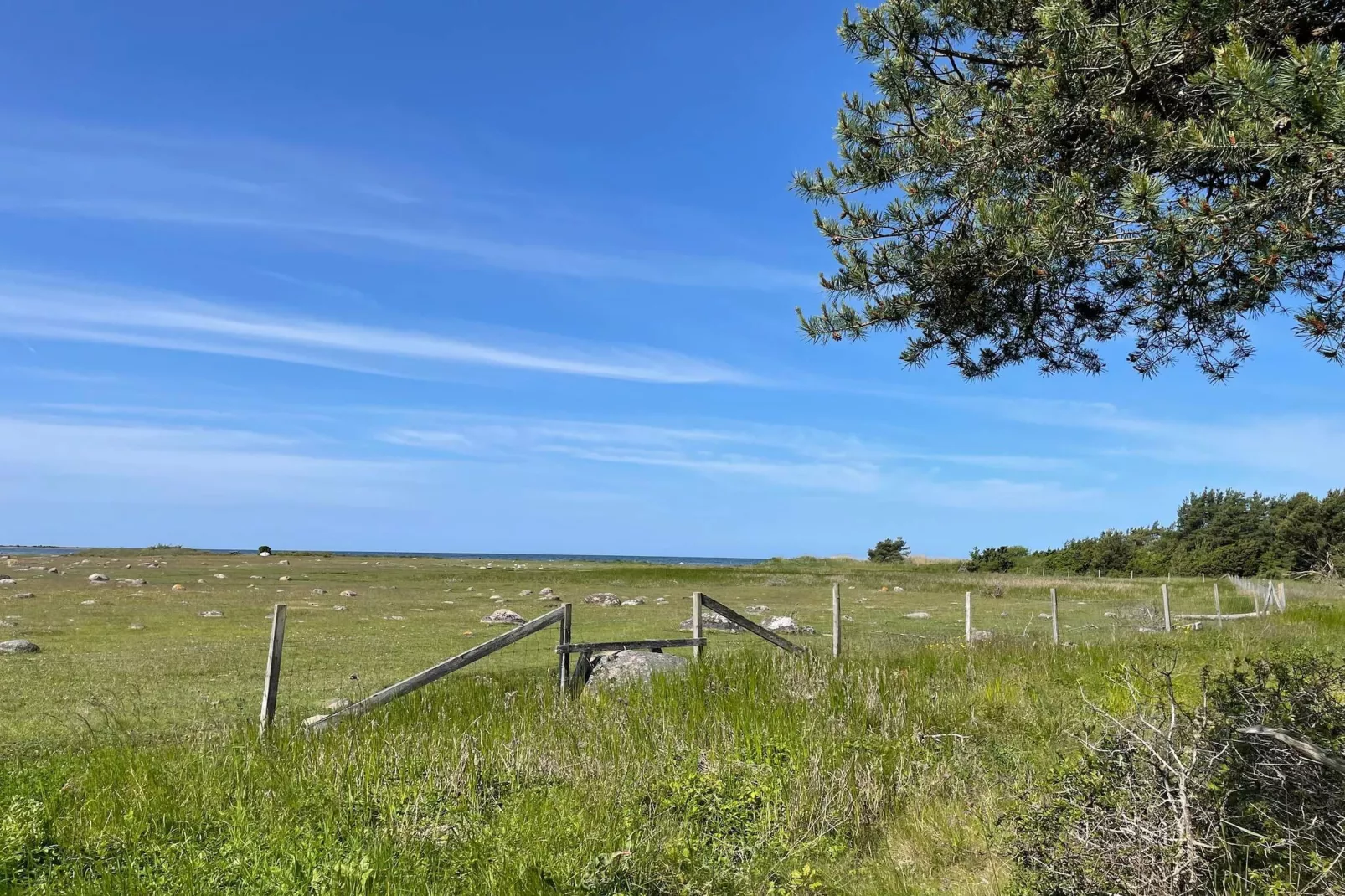 4 Personen vakantie huis in KLINTEHAMN-Buitenlucht