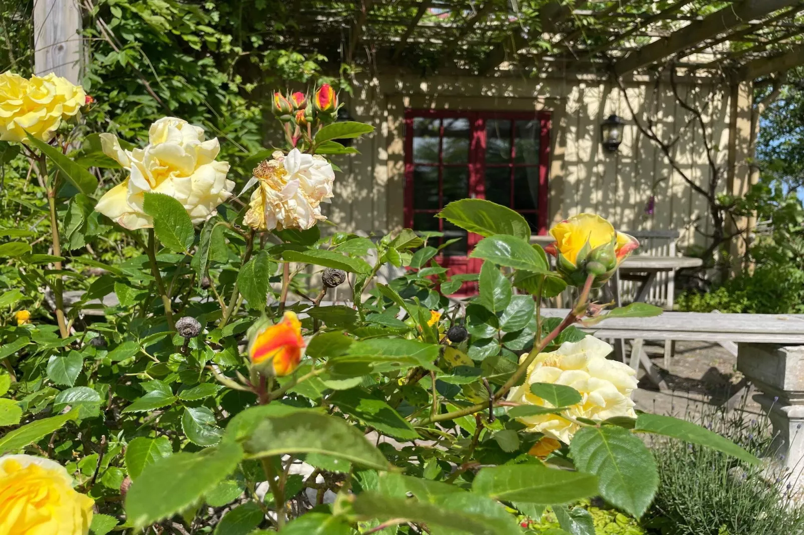 4 sterren vakantie huis in Fågelmara-Buitenlucht