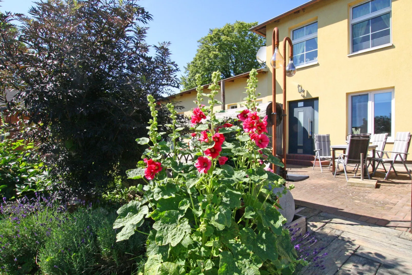 Fewo EG 4 P-Terrasbalkon