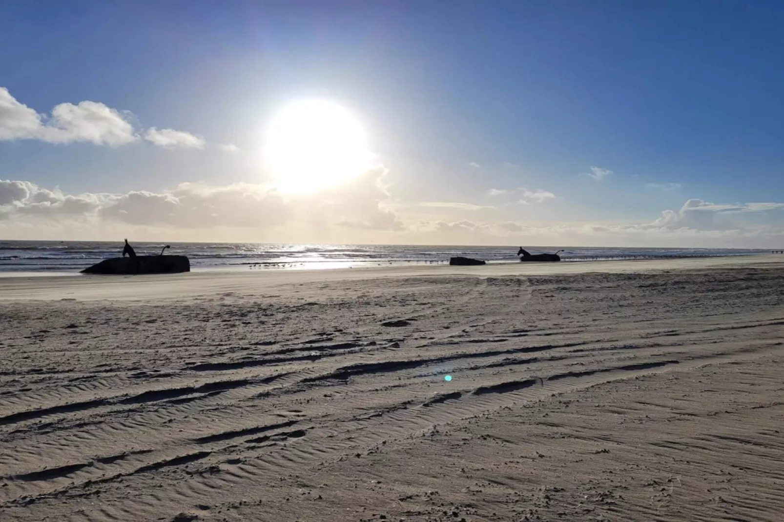 8 persoons vakantie huis in Blåvand-Waterzicht