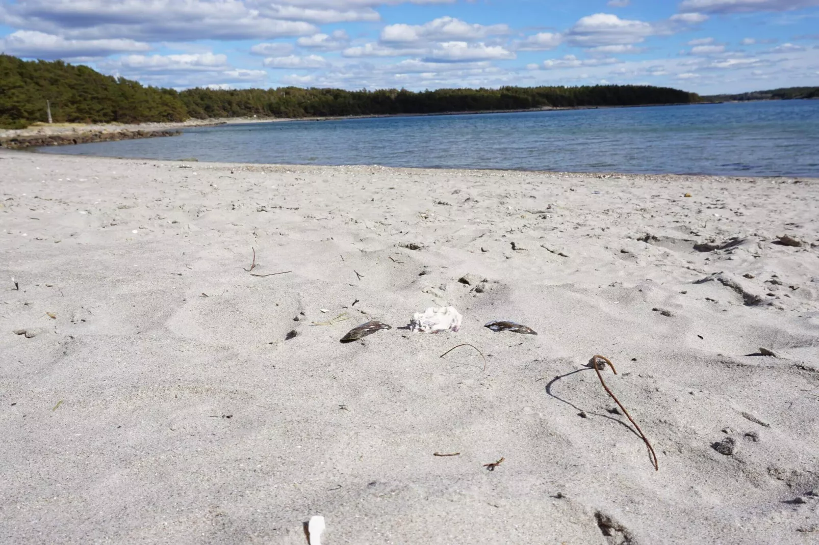 Rustig toevluchtsoord aan de kust op Oddo-Niet-getagd