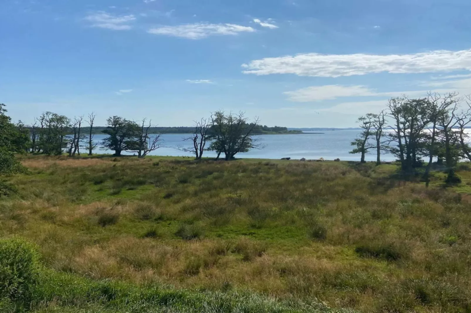 Vakantiehuis aan het meer met bos-Waterzicht