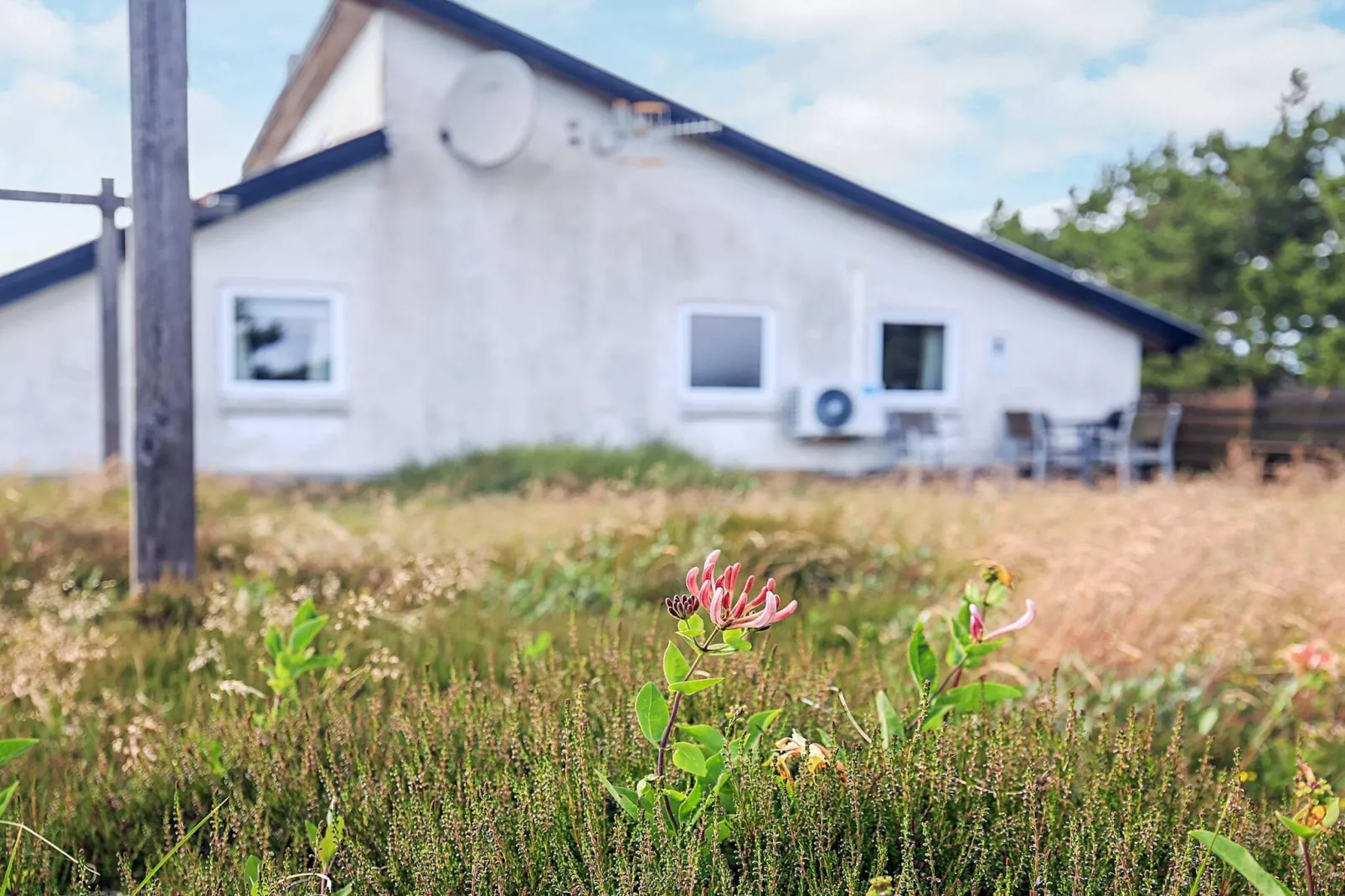 7 persoons vakantie huis in Thisted-By Traum-Buitenlucht