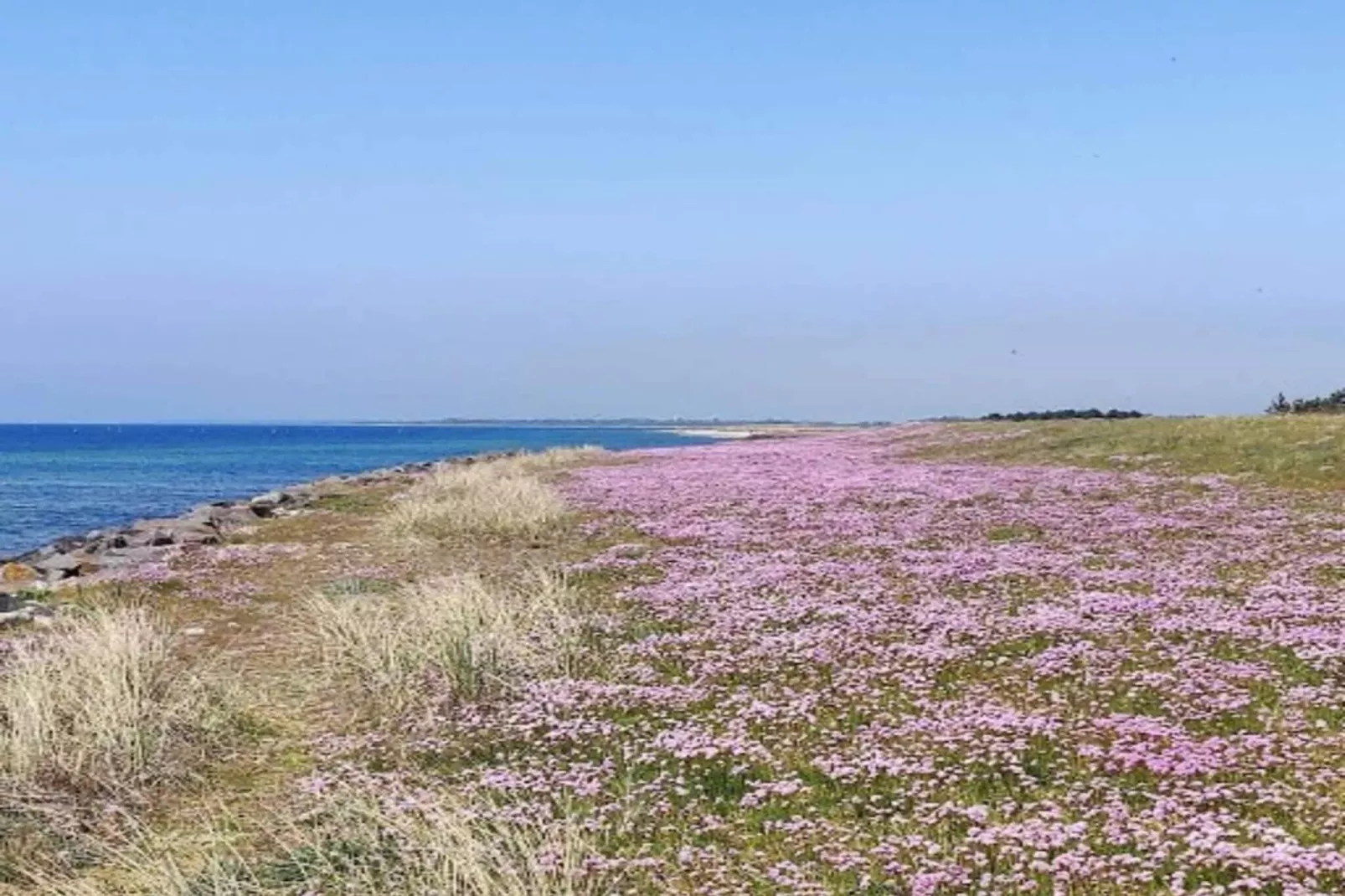 4 persoons vakantie huis in Hals-By Traum-Buitenlucht