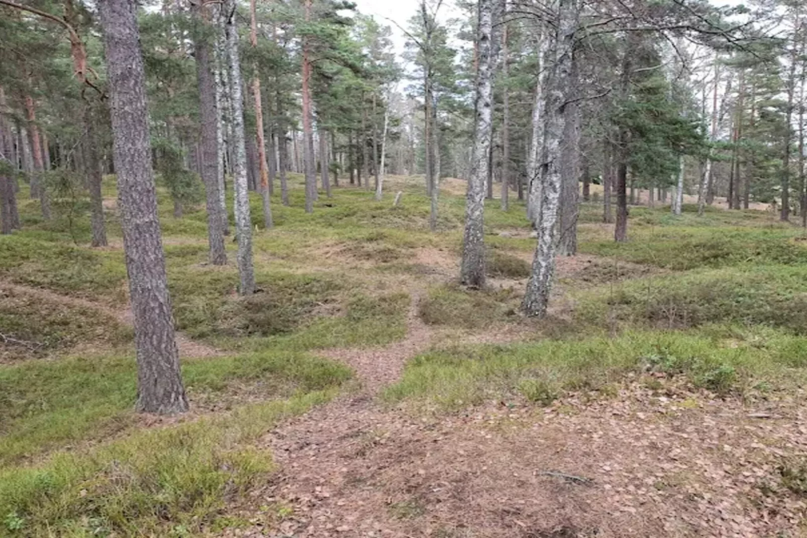 4 persoons vakantie huis in INGARÖ-By Traum-Niet-getagd