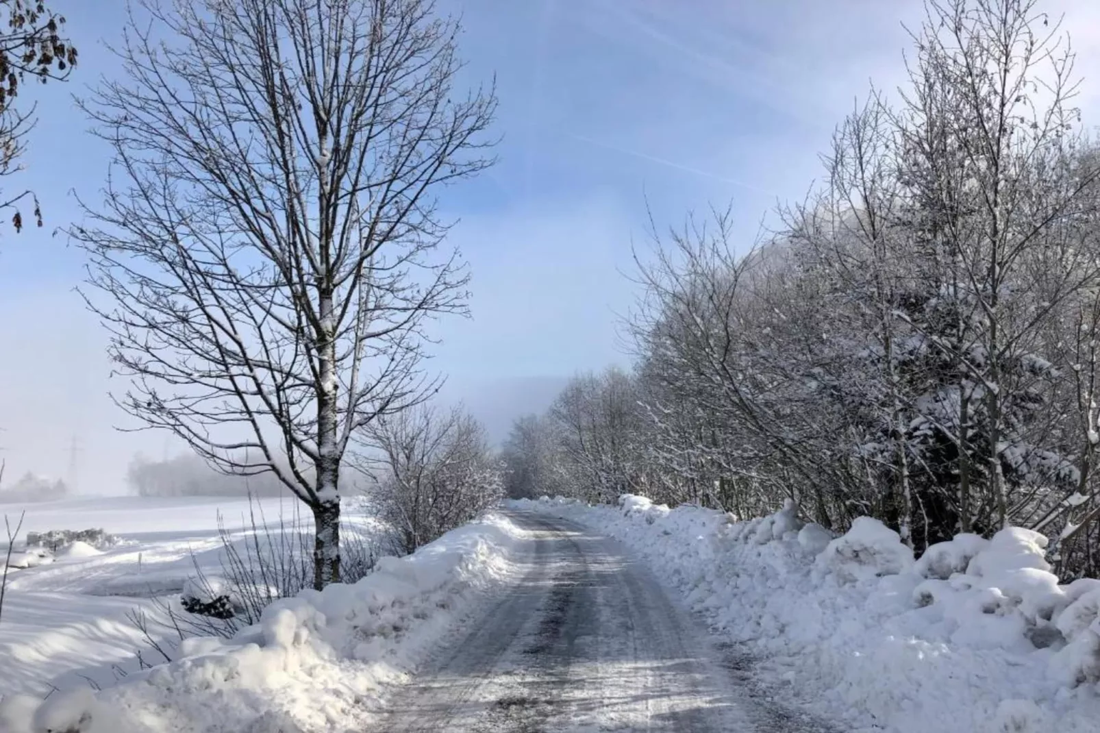 Rosmarijn-Gebied winter 20km