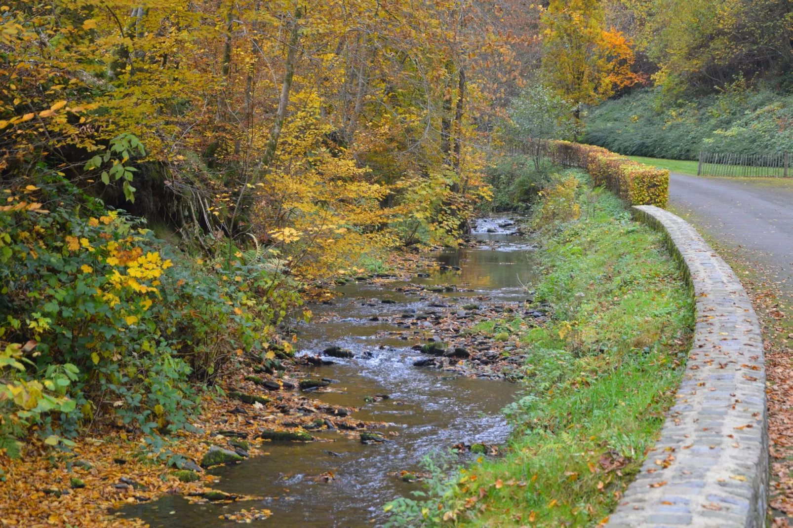 Le Vieux Moulin 22-Gebieden zomer 1km
