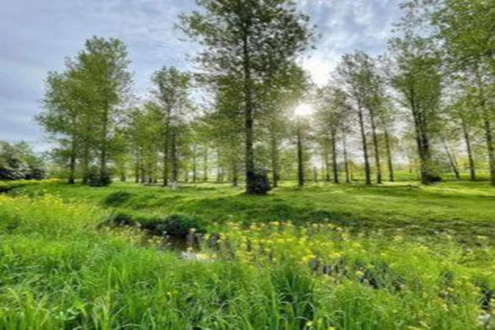 Het Bloesemklooster-Gebieden zomer 20km