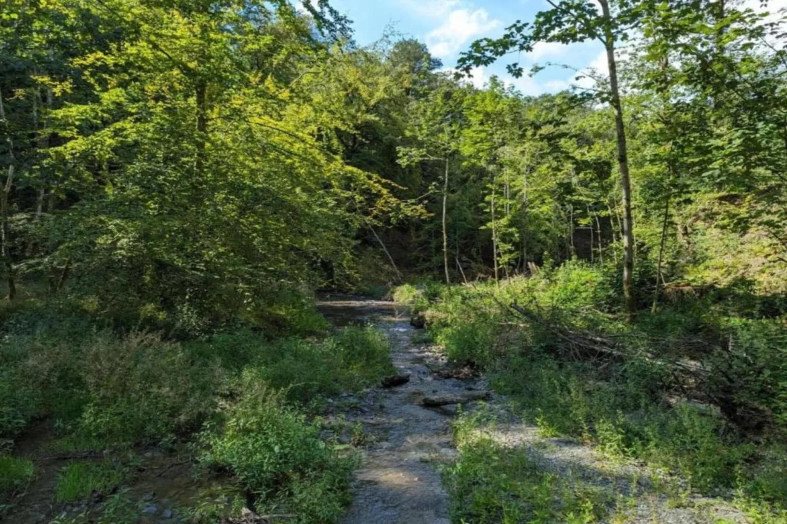 Les Rivières-Gebieden zomer 20km