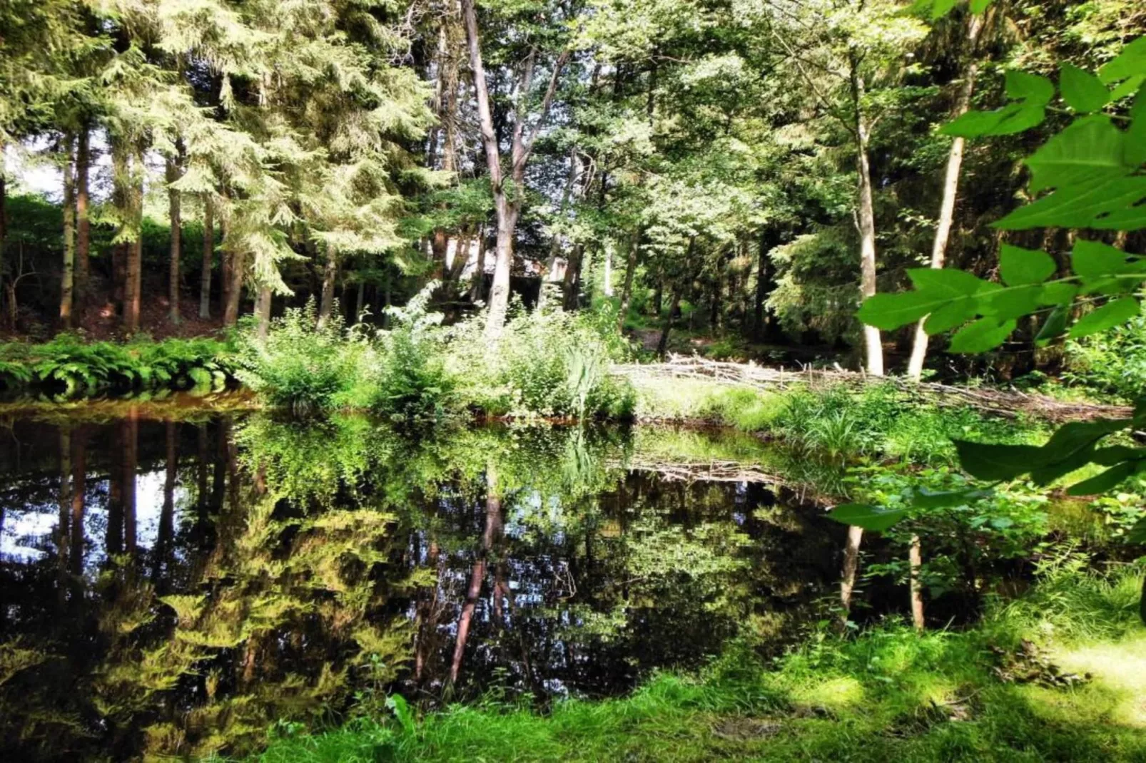 Les Jardins de l'Ourthe 16-Gebieden zomer 20km