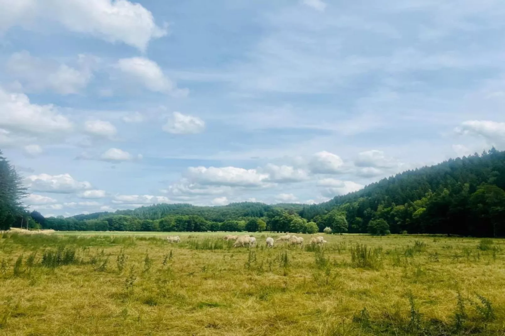 La Hetraie-Gebieden zomer 20km