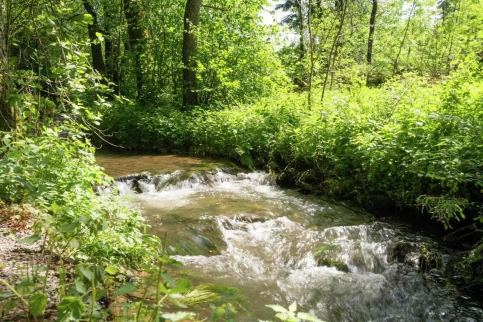 Camping Petite Suisse 1-Gebieden zomer 5km